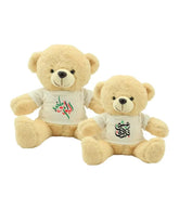 UAE Day Teddy Bear Toys with Printable White Tshirt