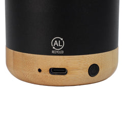 SALIENT - Bamboo Speaker