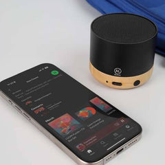 SALIENT - Bamboo Speaker