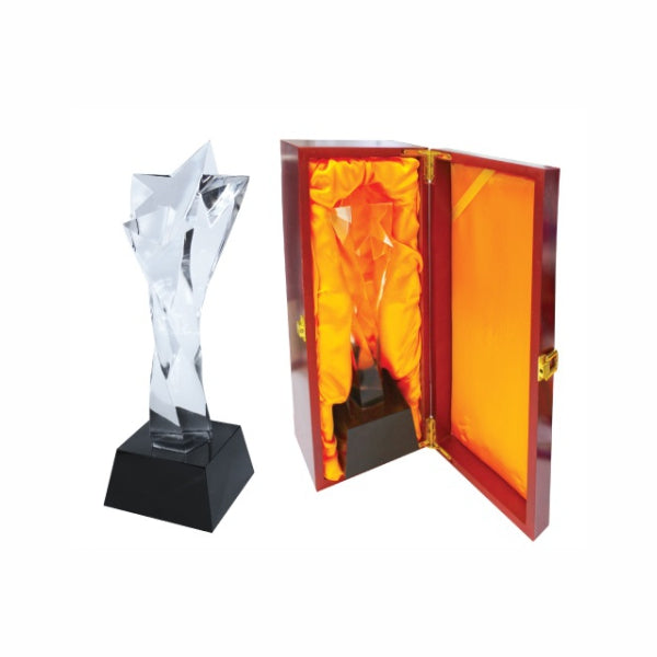 Crystal Star Trophy with Box
