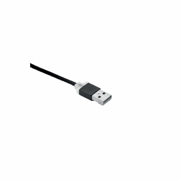 RIZO Key ring charging cable