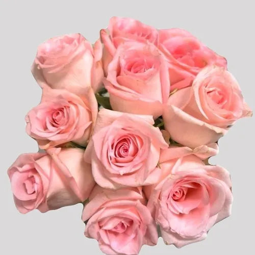 Bunch Pink