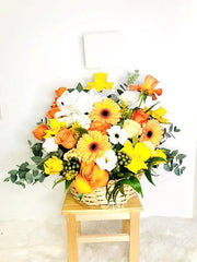 Blushing Yellow  Flowers