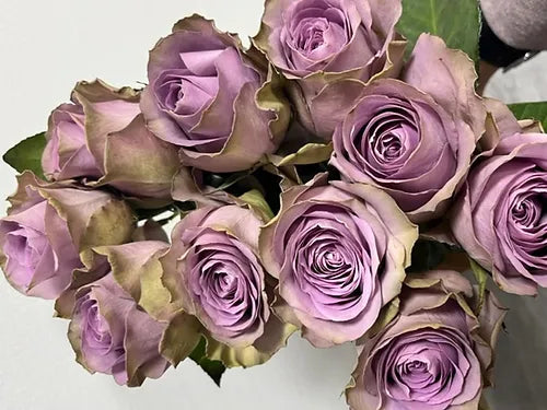 Bunch La Viola