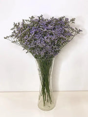 Purple Limonium  in a Vase