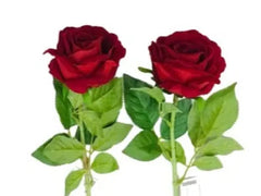 Artf Single Rose Red Long Stem x 6pcs