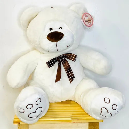 Cute  White Teddy Bear