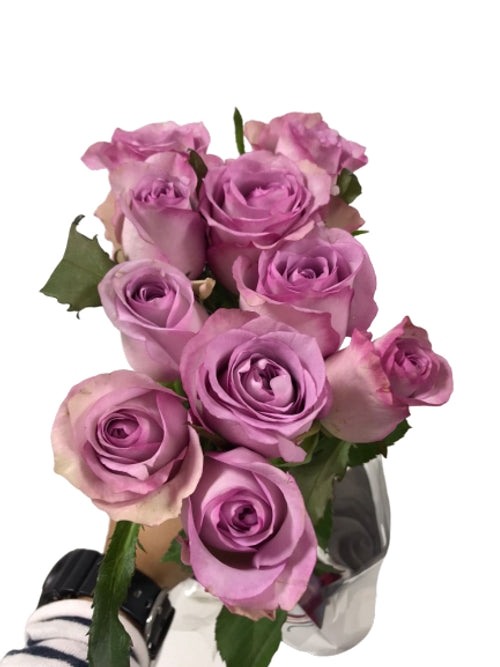 Rose Purple ( 10 Stems)