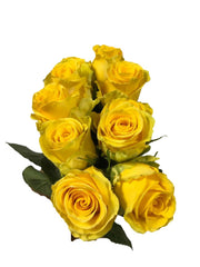 Rose Yellow ( 10 Stems)