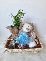 Plants With Teddy Bear & Mug Gift Basket