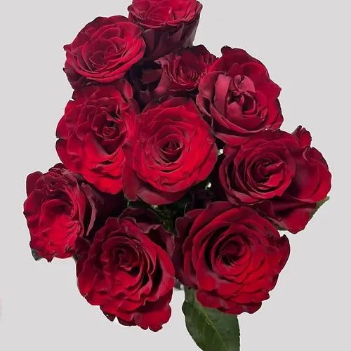 Bunch Crimson Rose