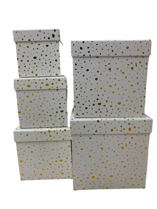 M5 Square Box - Dotted Design