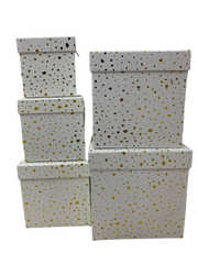 M5 Square Box - Dotted Design