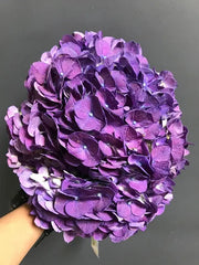 Hydrangea Purple