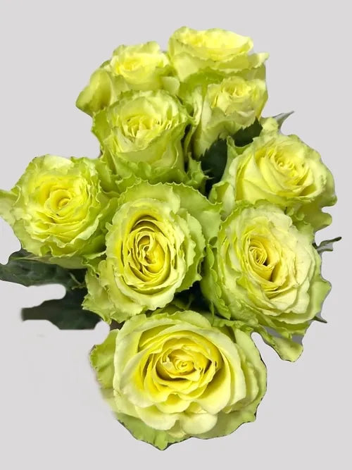 Bunch Yellowhite
