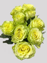 Bunch Yellowhite