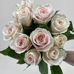 Rose Coco Peach Key