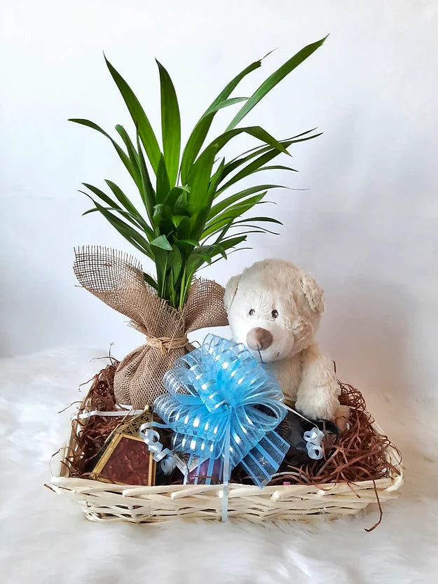 Plant with cute Teddy
