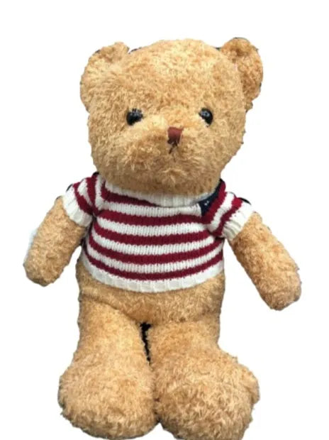 Teddy with Shirt