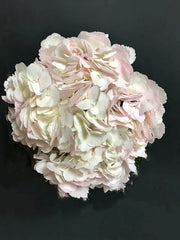 Hydrangea White