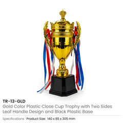 Small Cup Trophy with Removable Ribbon Attached to Both Handles