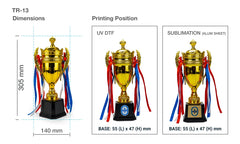 Small Cup Trophy with Removable Ribbon Attached to Both Handles