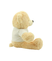 UAE Day Teddy Bear Toys with Printable White Tshirt